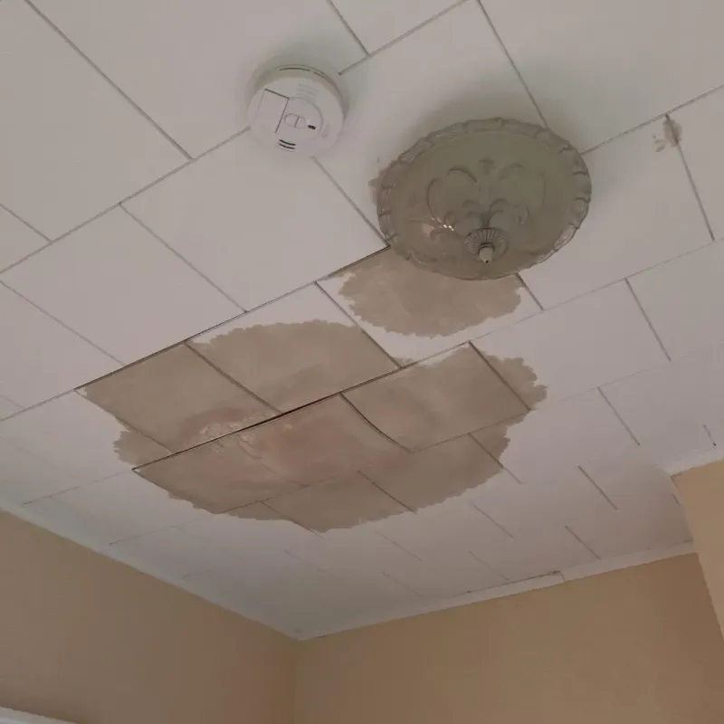 Ceiling Water Damage Repair in Lincoln Parish, LA