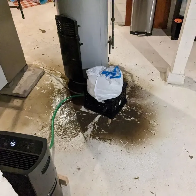Sewage Backup Cleanup Service in Lincoln Parish, LA